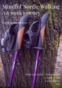 a pair of nordic walking poles resting against a tree