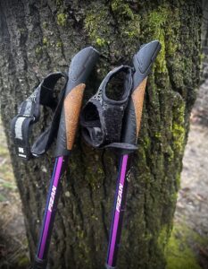 2 nordic walking poles leaning against a tree